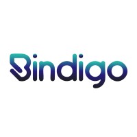 Bindigo logo - Similar company to The Cyber Protect