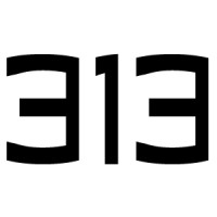 313 Web Designs