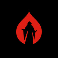Druid Oy logo - Similar company to Eluotsi Finland Ltd