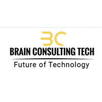 Brain Consulting Tech logo - Similar company to Spartan Freight Systems Inc.