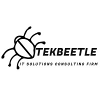 TekBeetle logo - Similar company to Dataspeak Ai