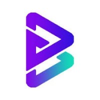 Bitgert logo - Similar company to Map Protocol
