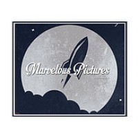 Marvelous Pictures LTD logo - Similar company to Brokenedge Studios