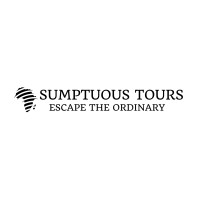 Sumptuous Tours | Luxury African Travel & Safaris logo - Similar company to Blu Dot Erp Solutions (Pty) Ltd