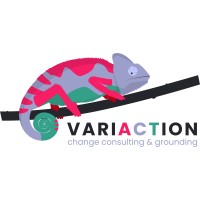 VARIACTION - change consulting & grounding logo - Similar company to Playnbe Facilitation