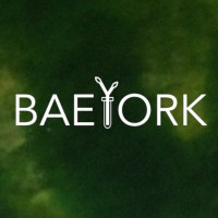 BaeYork logo - Similar company to Krunk Ai