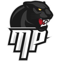 Media Panthers logo - Similar company to Gamepride.Io