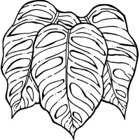 Alexandre Furcolin Paisagismo logo - Similar company to Vertigarden Brasil