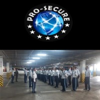 Pro-Secure Limited logo - Similar company to Dsg Security Llc