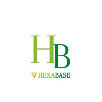 Hexabase Digital Marketing Agency logo - Similar company to Safezen
