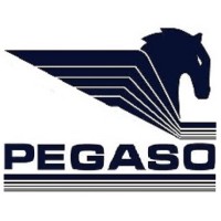 Pegaso Logística Comércio e Serviços EIRELI logo - Similar company to Colégio De Angeles