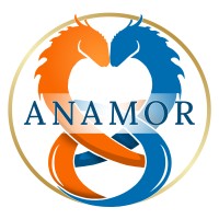 Anamor Healing logo - Similar company to Mindful Movement