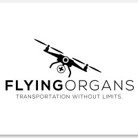 FlyingOrgans logo - Similar company to Ie Quantum Club