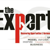 The Expert Group Lagos logo - Similar company to Expert Group