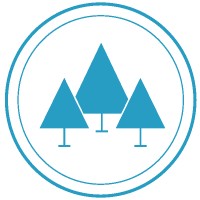 BLUE Forest Realty Inc. logo - Similar company to Candor Diversity Group