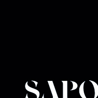 SAPO logo - Similar company to Kaizen Evolve