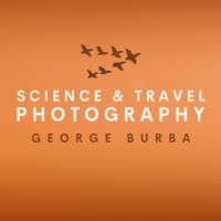 George Burba Photography