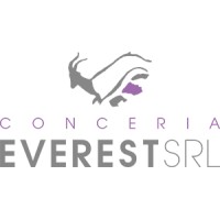 Conceria Everest SRL logo - Similar company to Everest Srl