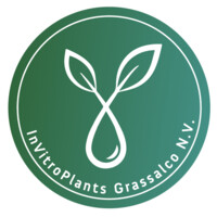 InVitroPlants Grassalco N.V. logo - Similar company to Phytoteq