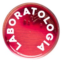 Laboratologia logo - Similar company to Generazione Stem (Gen_S)