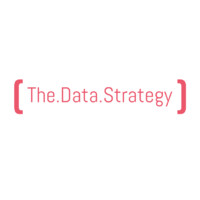 The Data Strategy