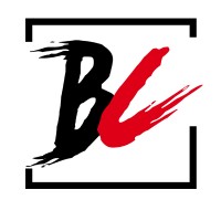 blackcode logo - Similar company to Teens, Inc.