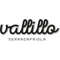 Vallillo logo - Similar company to Magaras