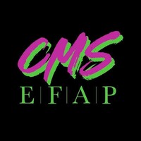 MBA CMS EFAP Lille logo - Similar company to Mba Spécialisé Communication Et Marketing Stratégique - Efap