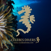 PT Celebes Divers : Kuda Laut Boutique Dive Resort logo - Similar company to Sofanda Resort & Dive