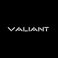 Valiant Studio Ltd logo - Similar company to Reel Breakdown