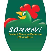 SOMMAVI SA logo - Similar company to Generations Bilingues