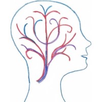 Neurowellness, LLC logo - Similar company to Imprint Technologies Inc