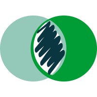 Creative Thinking Chile logo - Similar company to Monitor One