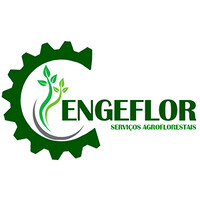 ENGEFLOR SERVIÇOS AGROFLORESTAIS logo - Similar company to Embrasef - Empresa Brasileira De Serviços De Engenharia Florestal