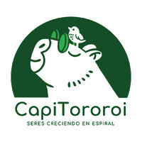Fundación CapiTororoi logo - Similar company to Bauen Project