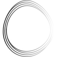 Looped Consulting