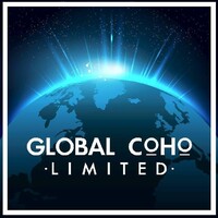 Global Company Holdings Ltd logo - Similar company to 7G Group