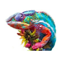 FX Technologies logo - Similar company to Acis It Solutions