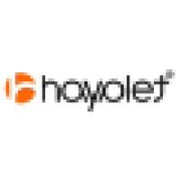 Hayalet Bilgi Teknolojileri  Danışmanlık ve Servis Hizmetleri Limited Şirketi