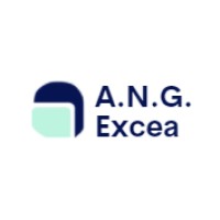 A.N.G. Excea logo - Similar company to Counselors Hub