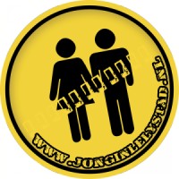 Jonginlelystad