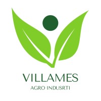 Villames logo - Similar company to Gm Group