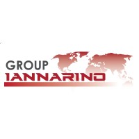 Iannarino Consulting Inc. logo - Similar company to Altitude Plus