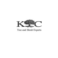 Ken'S Tree Care Inc