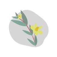 Pewü - Consultoría y Gestión Ambiental logo - Similar company to Animob