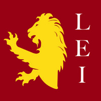 Leomhann Enterprises logo - Similar company to Synaptic, Inc.