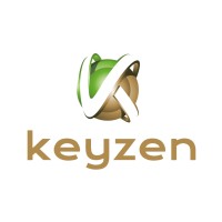 Keyzen logo - Similar company to Dsiclub Congo