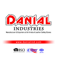 Danial Industries logo - Similar company to Elevate Digitech