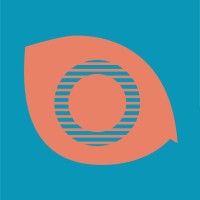 CingeSoft logo - Similar company to Ng Technology S.A.
