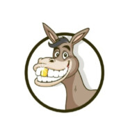Don-key Finance logo - Similar company to Appforce Inc.